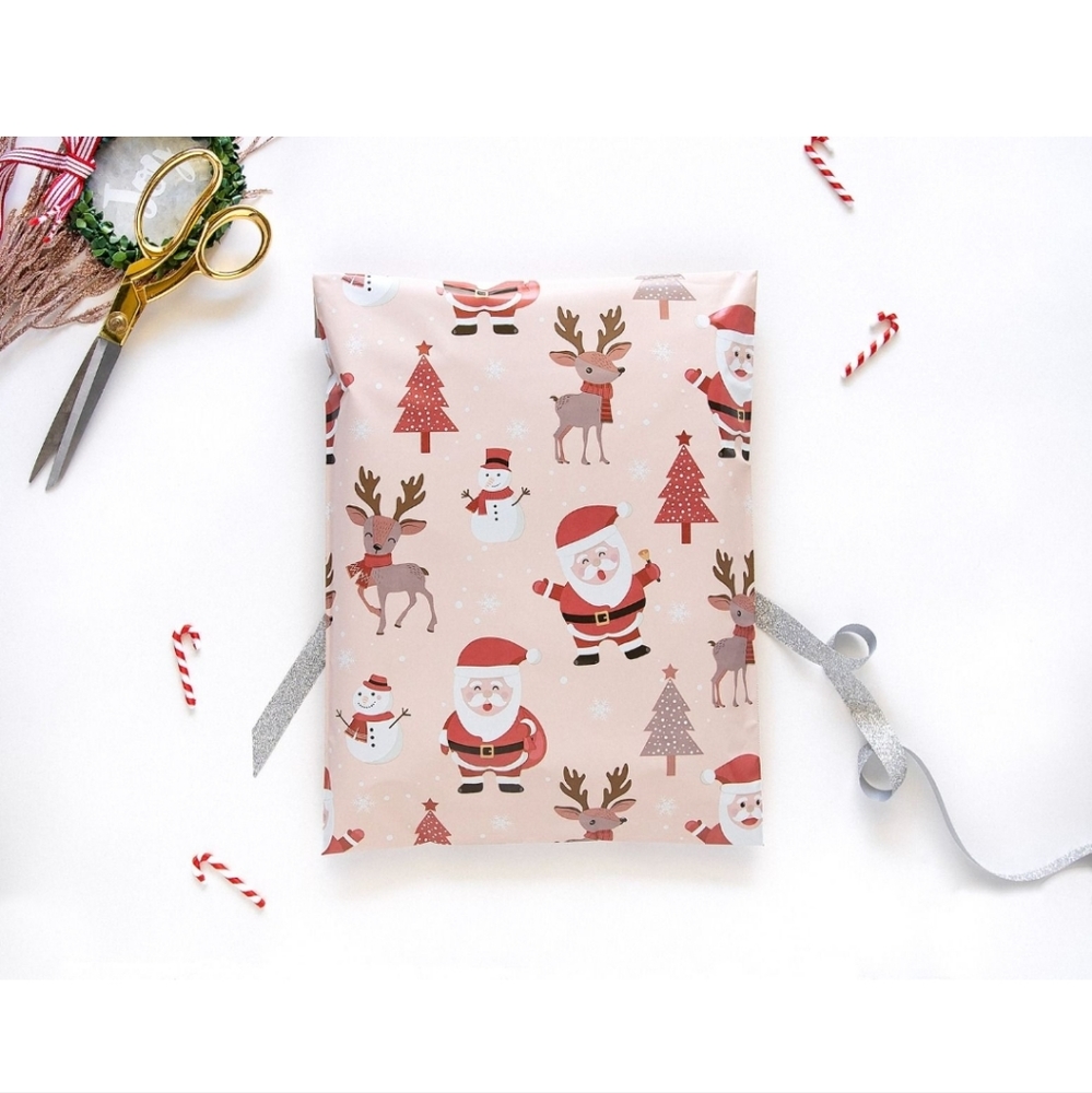25ct Santa Mailers